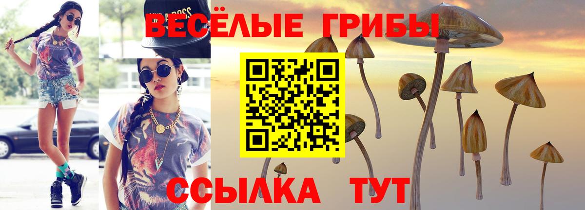 Галлюциногенные грибы Cubensis  Вход с VPN  Галлюциногенные грибы мицелий  что такое наркотик  Грязи 