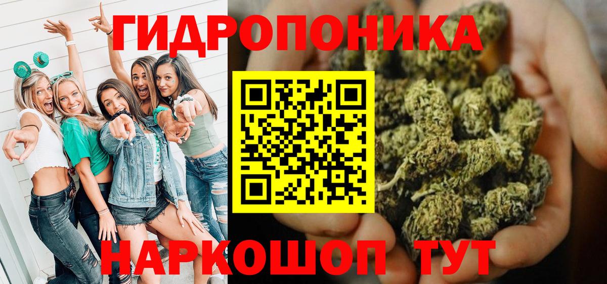 Бошки марихуана Bruce Banner  Вход с VPN  Бошки марихуана VHQ  Конопля тримм  Грязи 